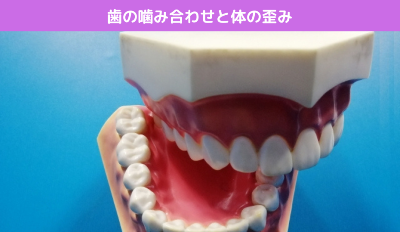 歯の噛み合わせと体の歪み